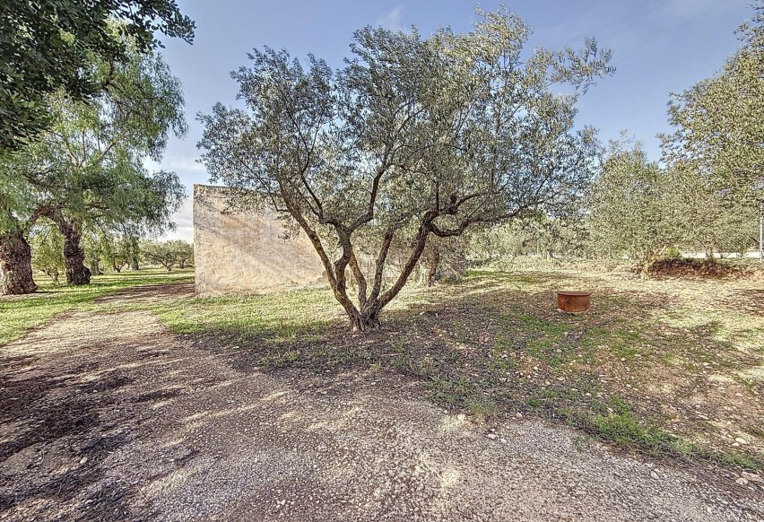 Reventa - Villa - Onil - La Lloma