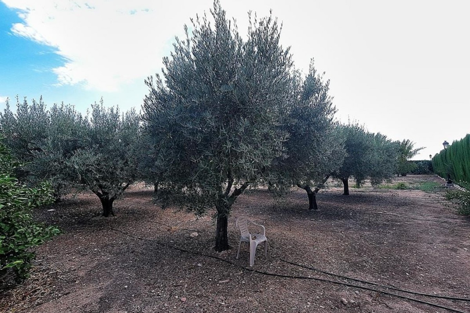 Reventa - Villa - Perleta - Elche pedanias