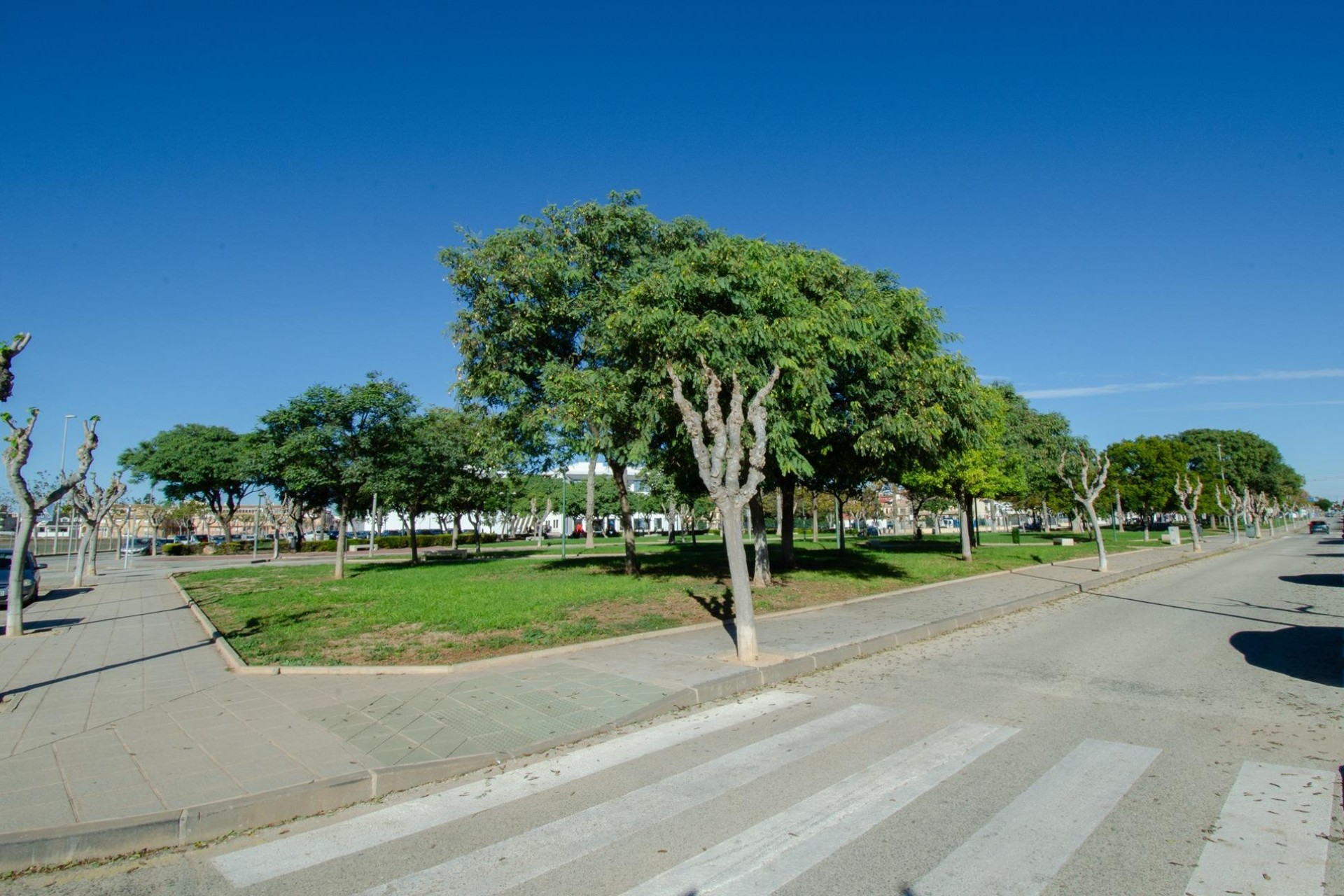 Reventa - Villa - Pilar de la Horadada - PILAR DE LA HORADADA