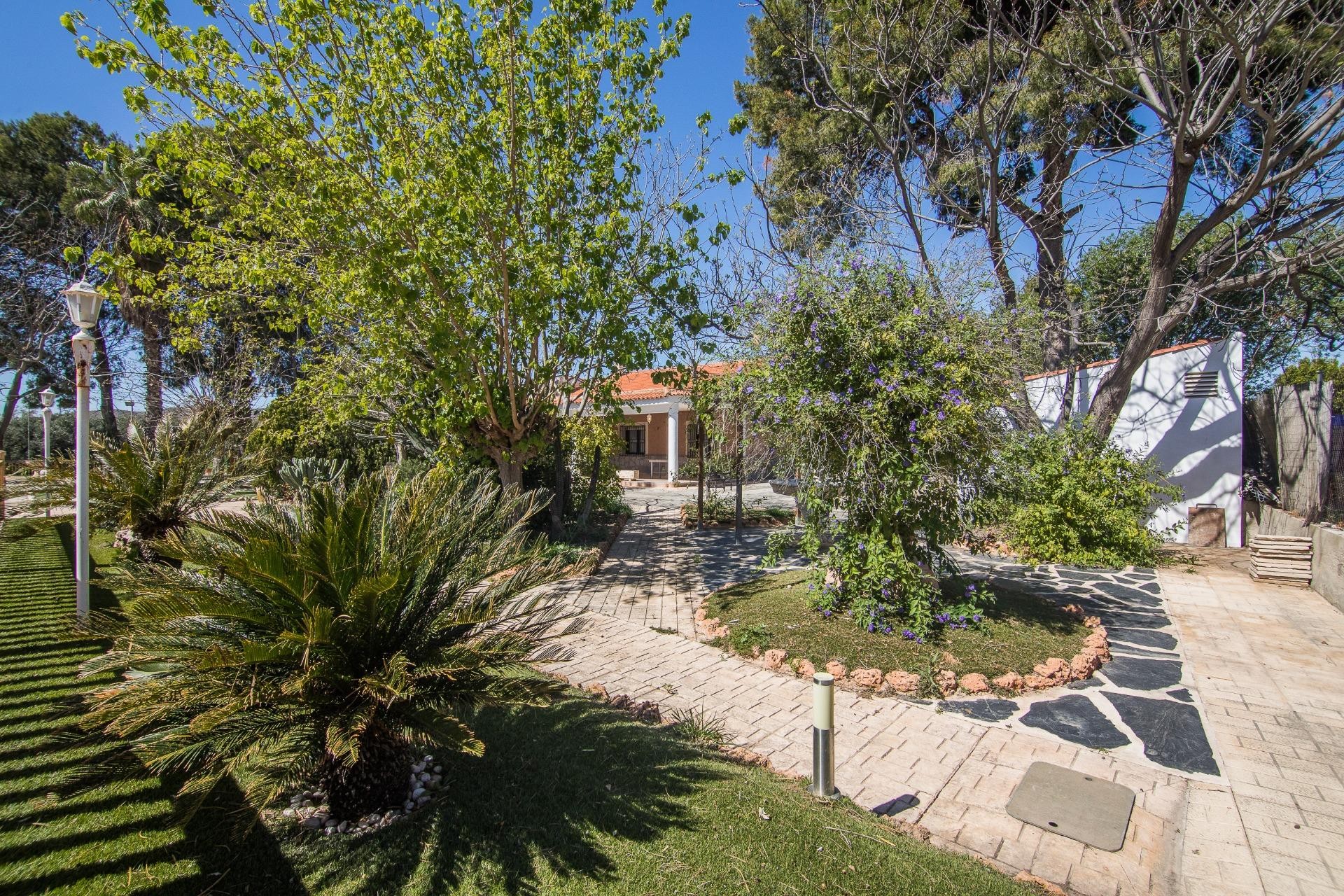 Reventa - Villa - Redován - REDOVAN Redovan