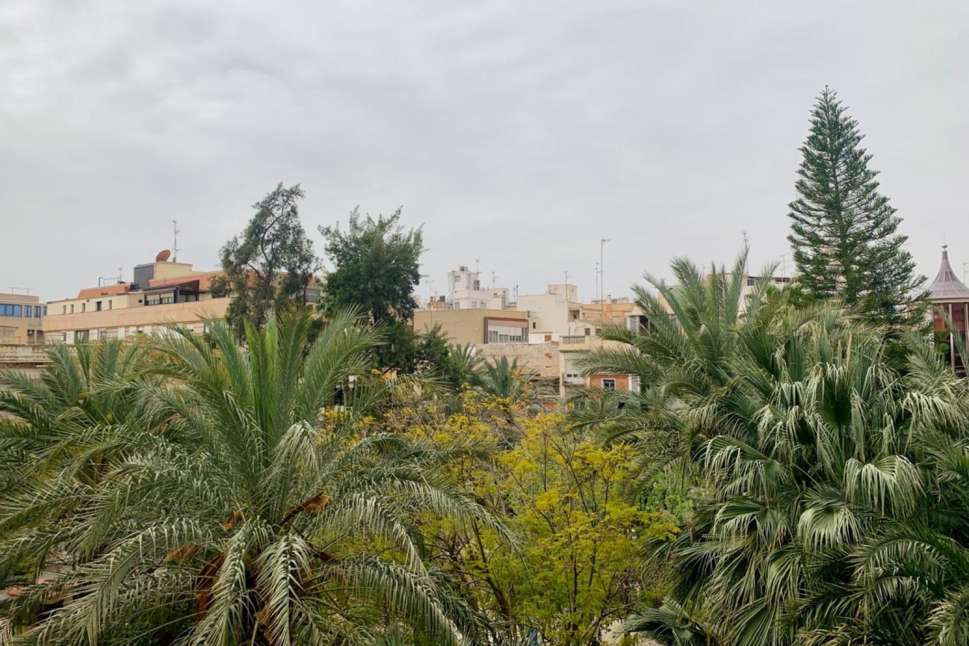 Revente - Apartment - Elche - Center