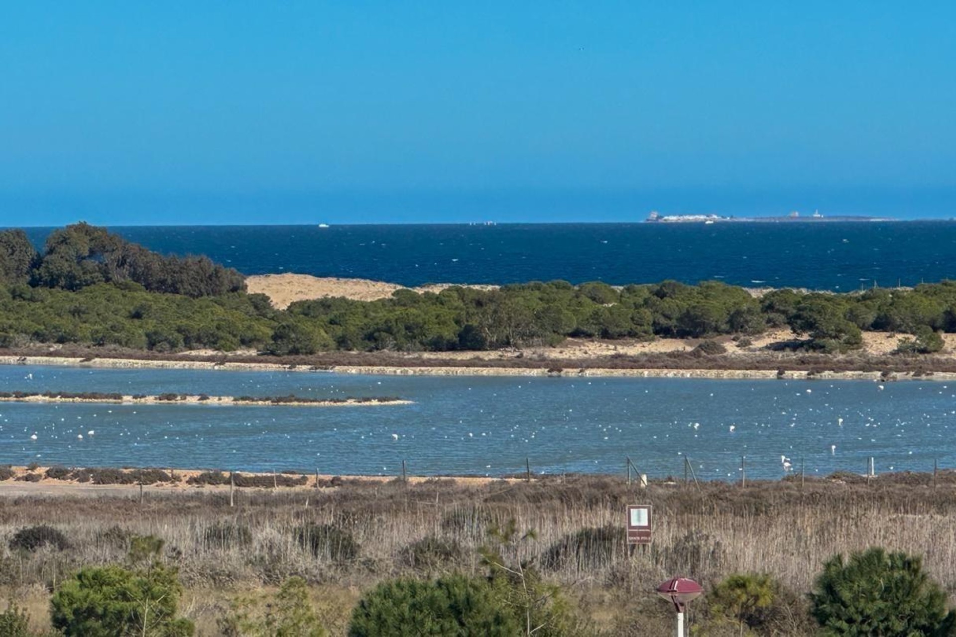 Revente - Apartment - La marina - El pinet