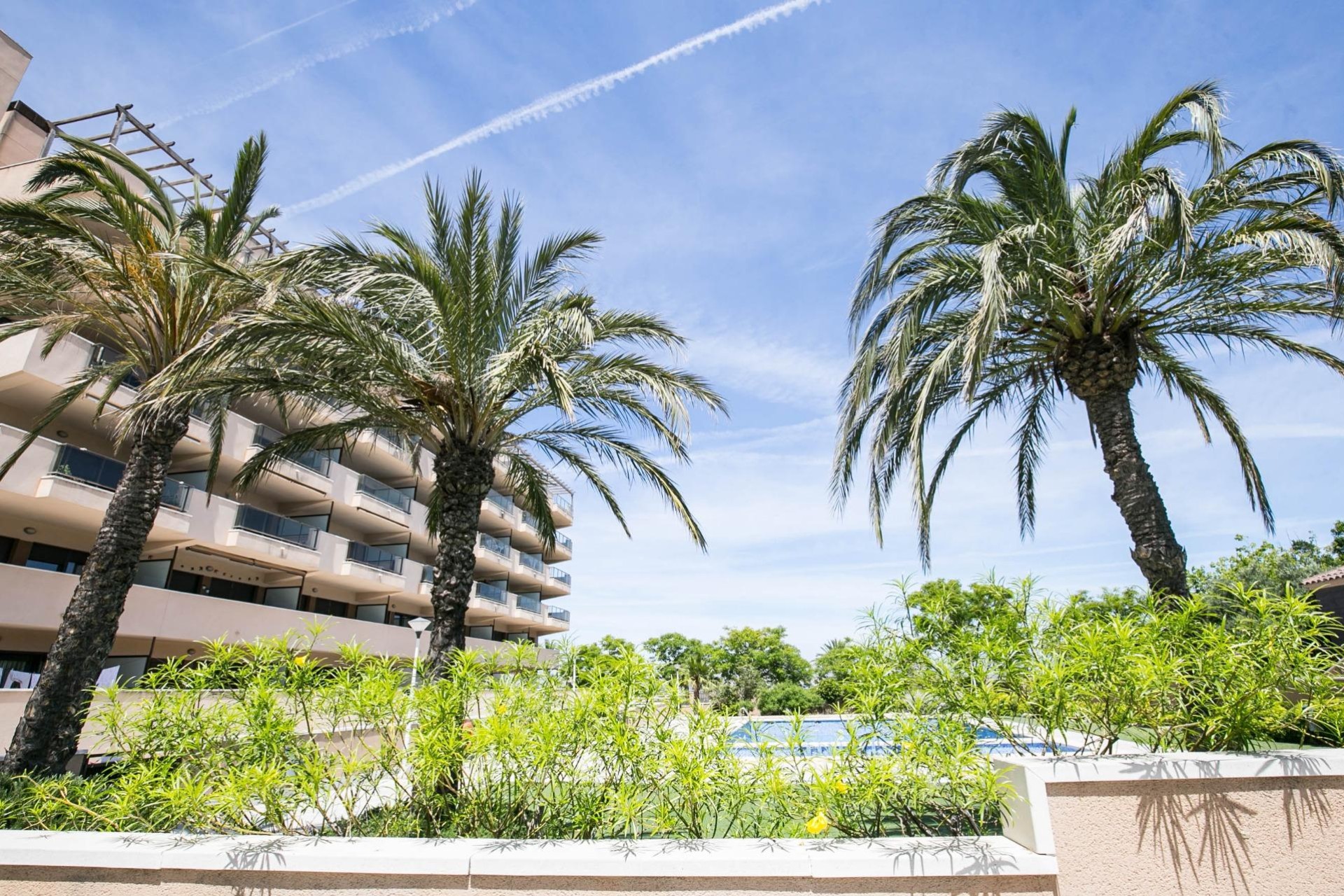 Revente - Appartement - Arenales del Sol - Calle valladolid