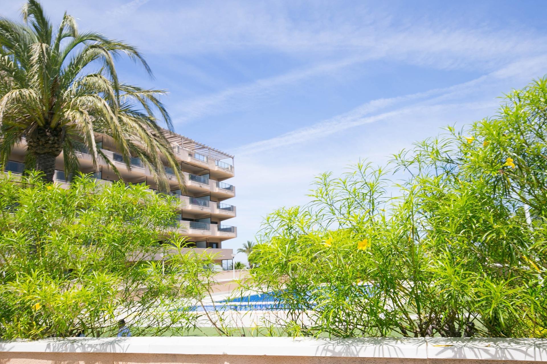 Revente - Appartement - Arenales del Sol - Calle valladolid