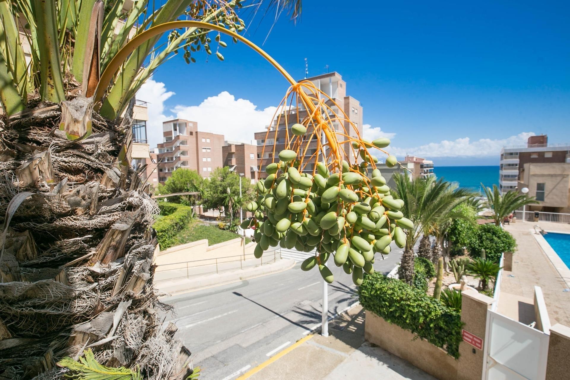 Revente - Appartement - Arenales del Sol - Segunda linea playa