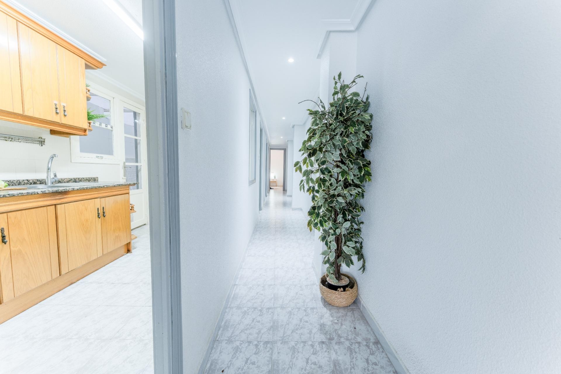 Revente - Appartement - Elche - Asilo - Pisos Azules