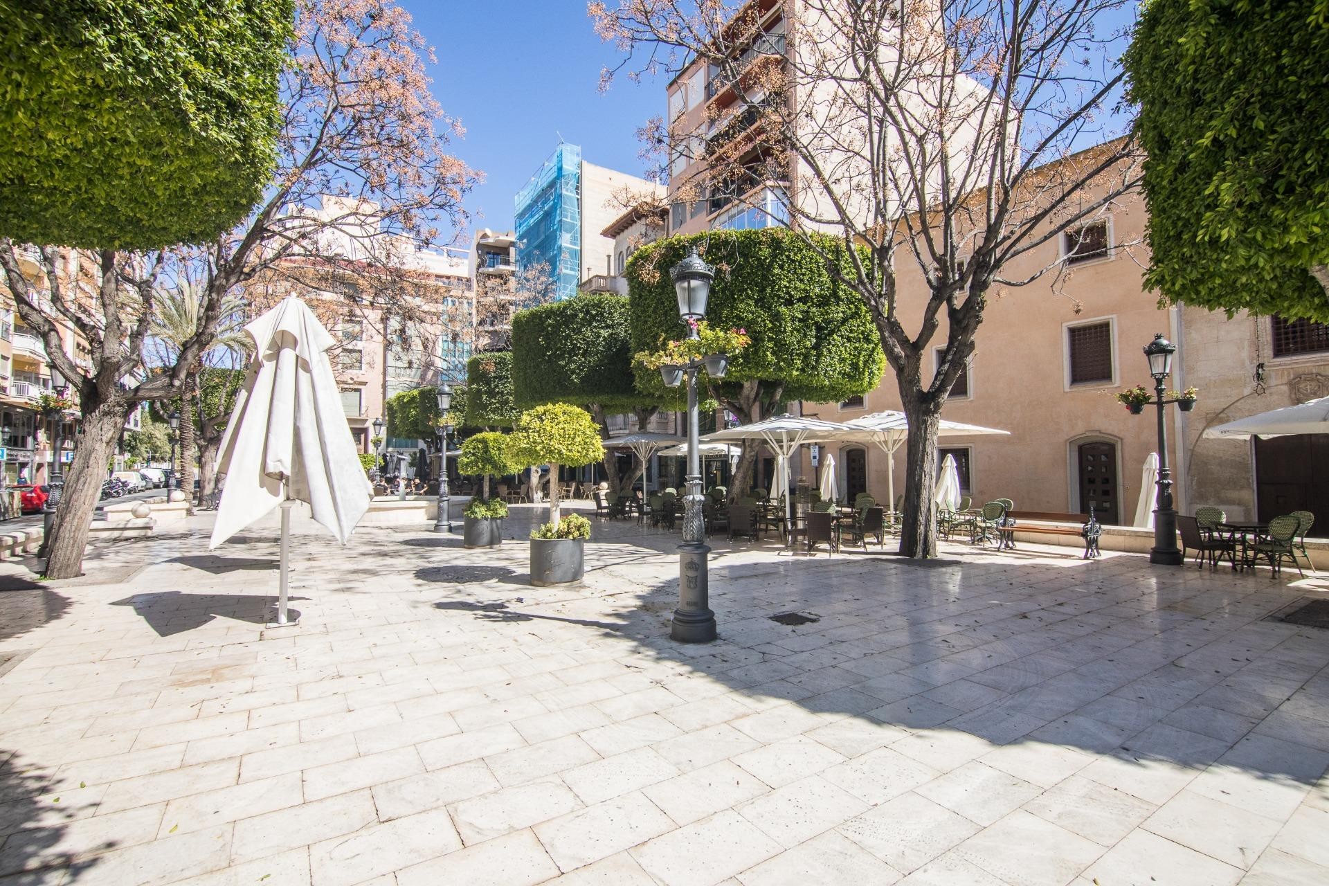 Revente - Appartement - Elche - Center