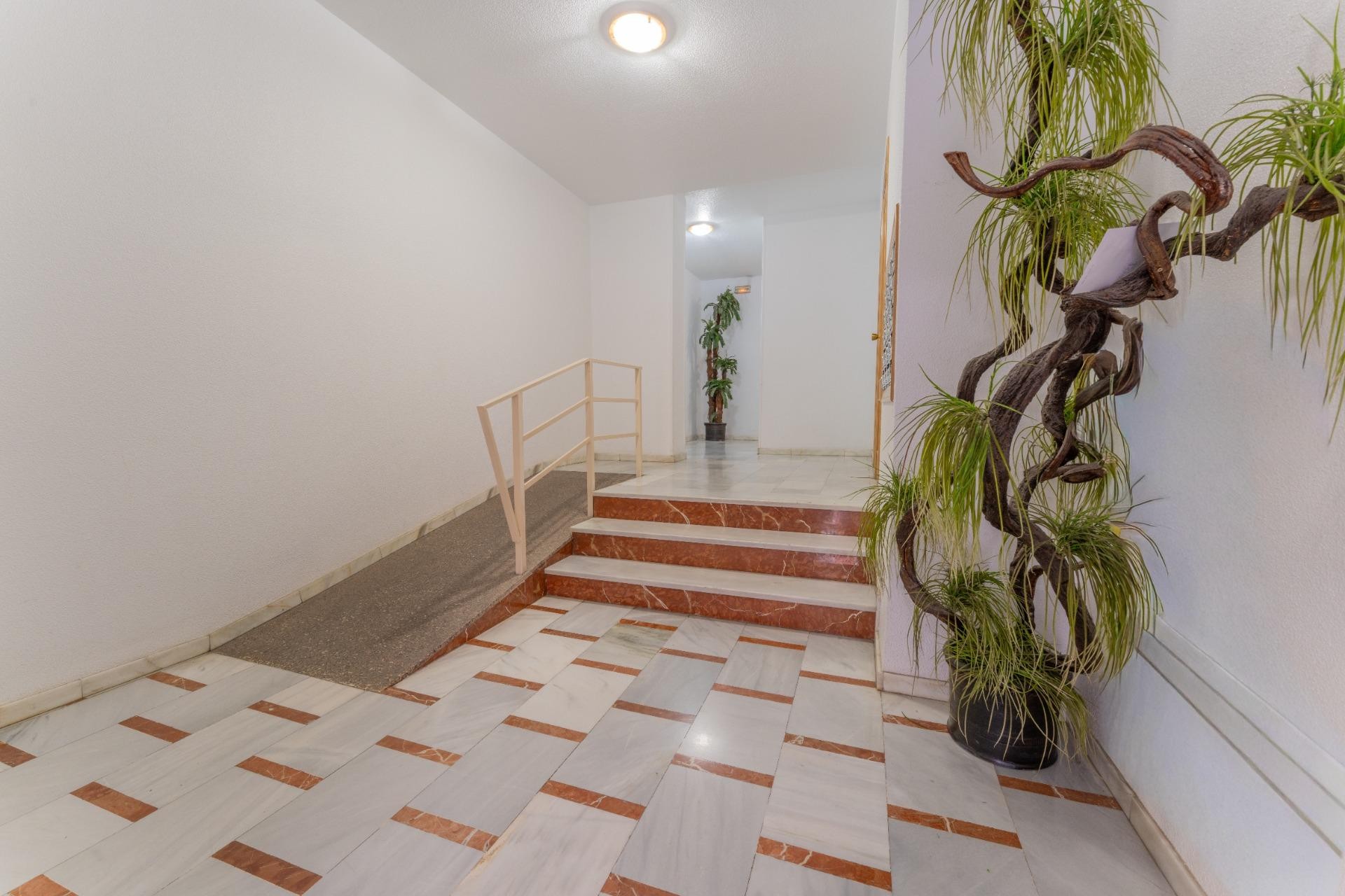 Revente - Appartement - Elche - Plaza Crevillente-Juzgados