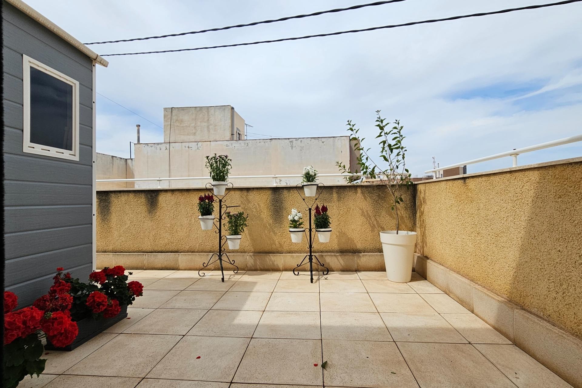 Revente - Attique - San Vicente del Raspeig - Centro