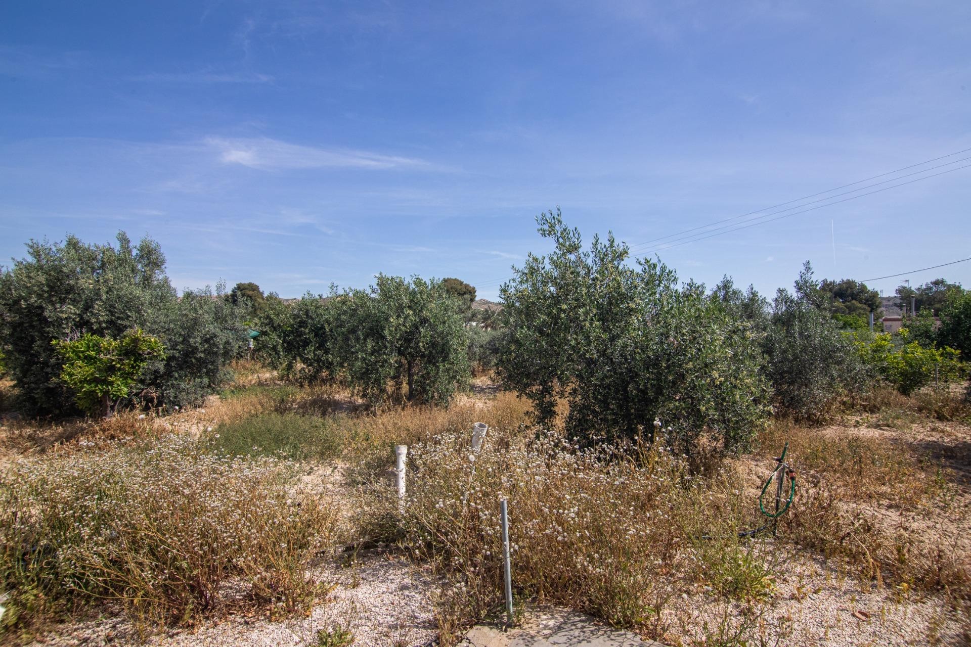 Revente - Casa de campo - Elche - Carrús Este