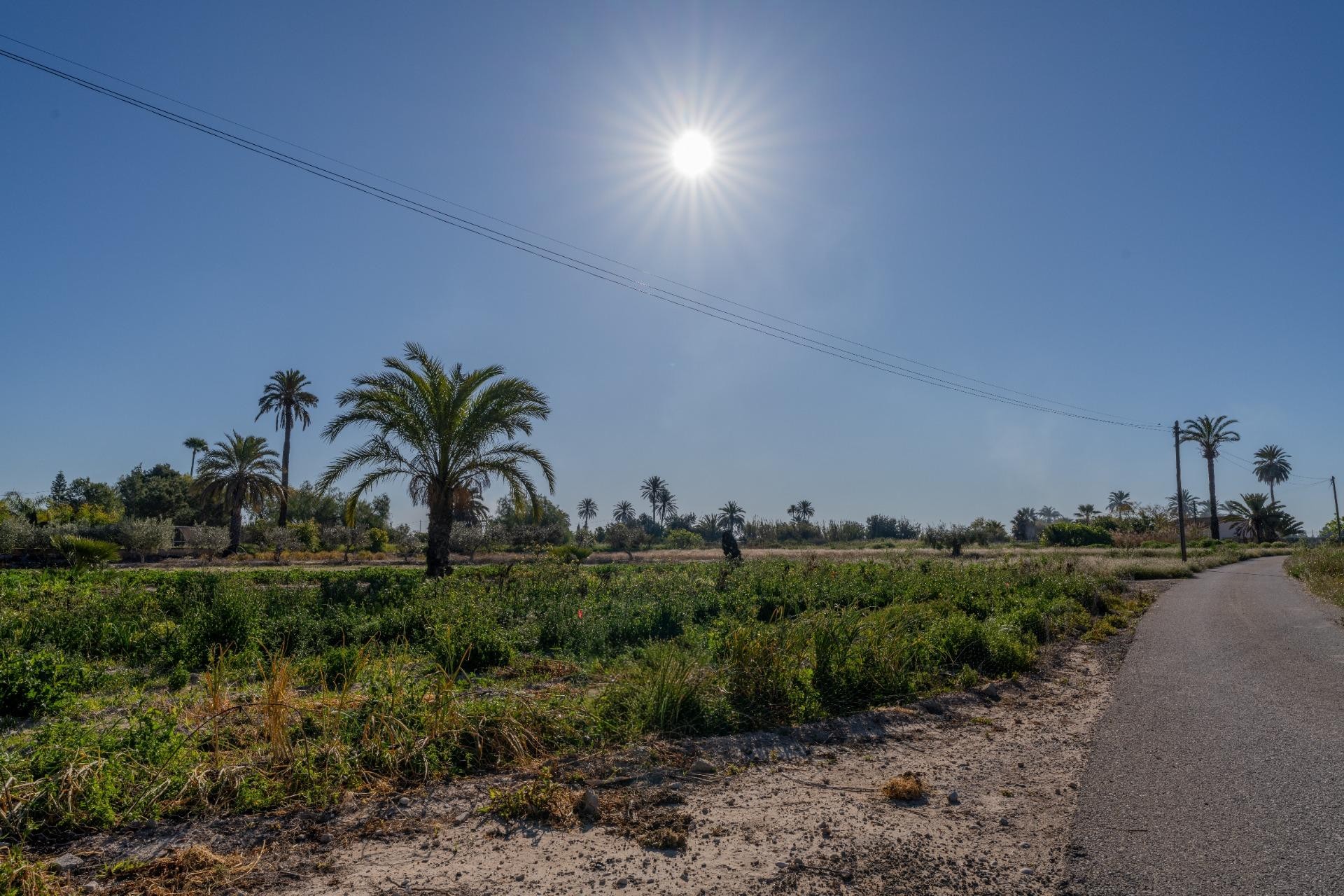 Revente - Casa de campo - Elche Pedanías - Derramador