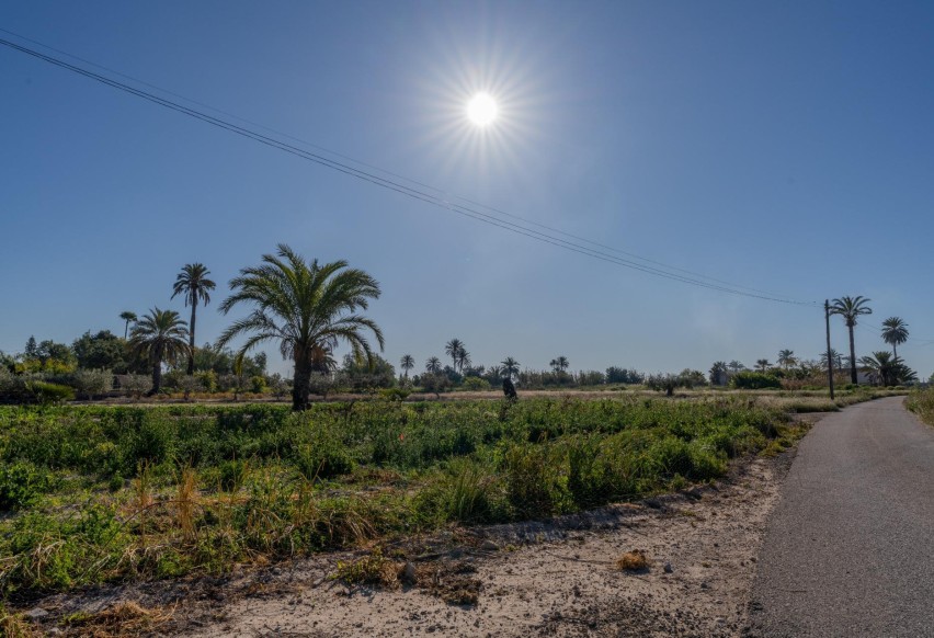 Revente - Casa de campo - Elche Pedanías - Derramador