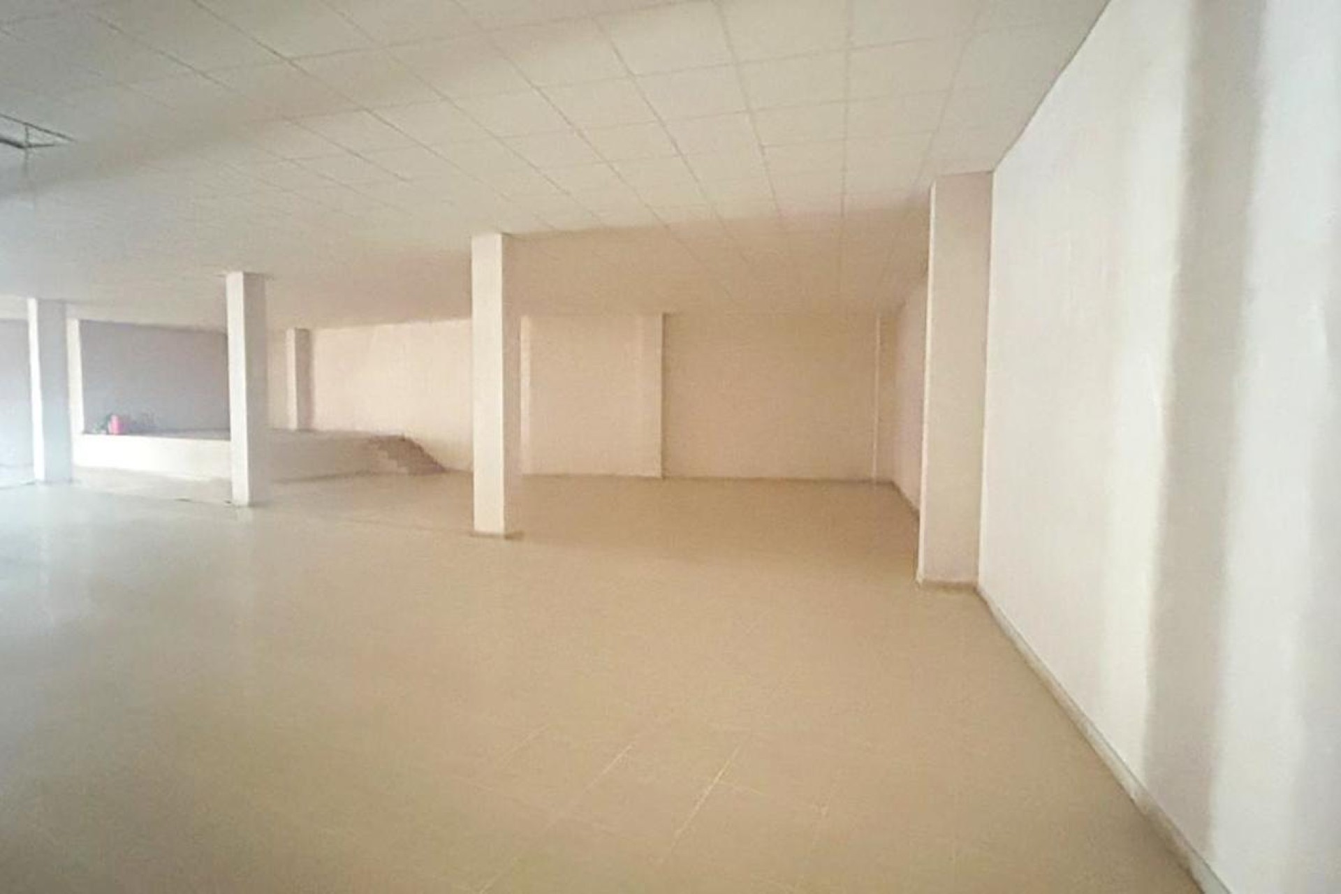 Revente - Commercial - Elche Pedanías - Las Bayas-Asprillas