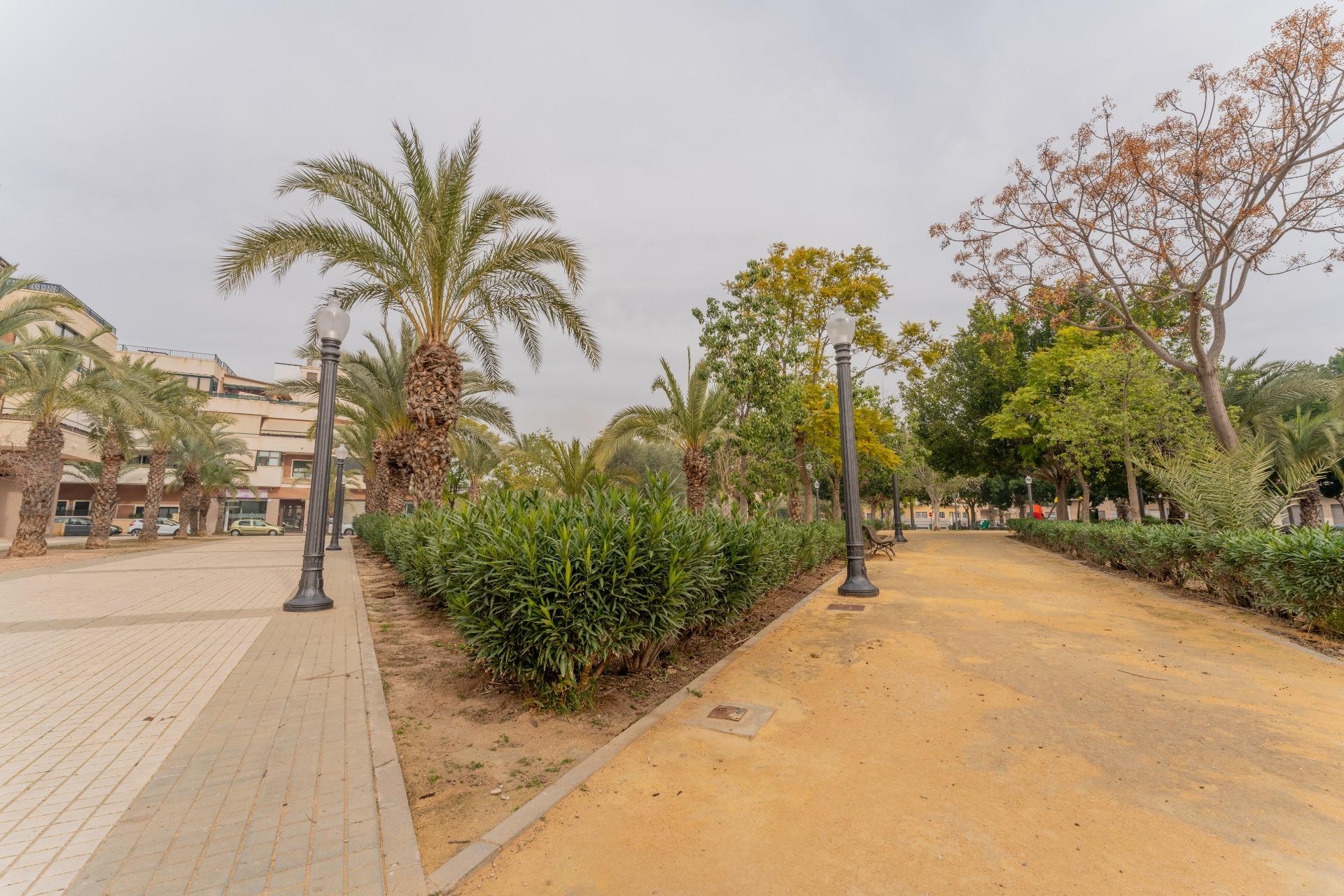 Revente - Commercial - Elche Pedanías - Las Bayas