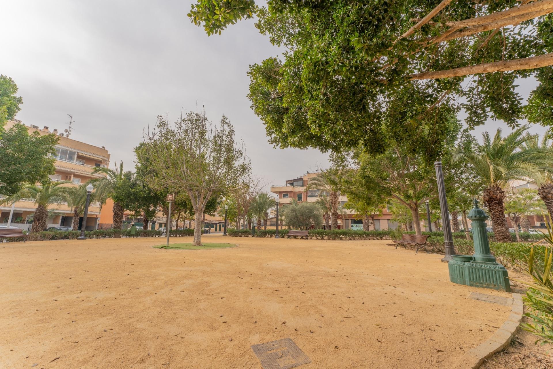 Revente - Commercial - Elche Pedanías - Las Bayas