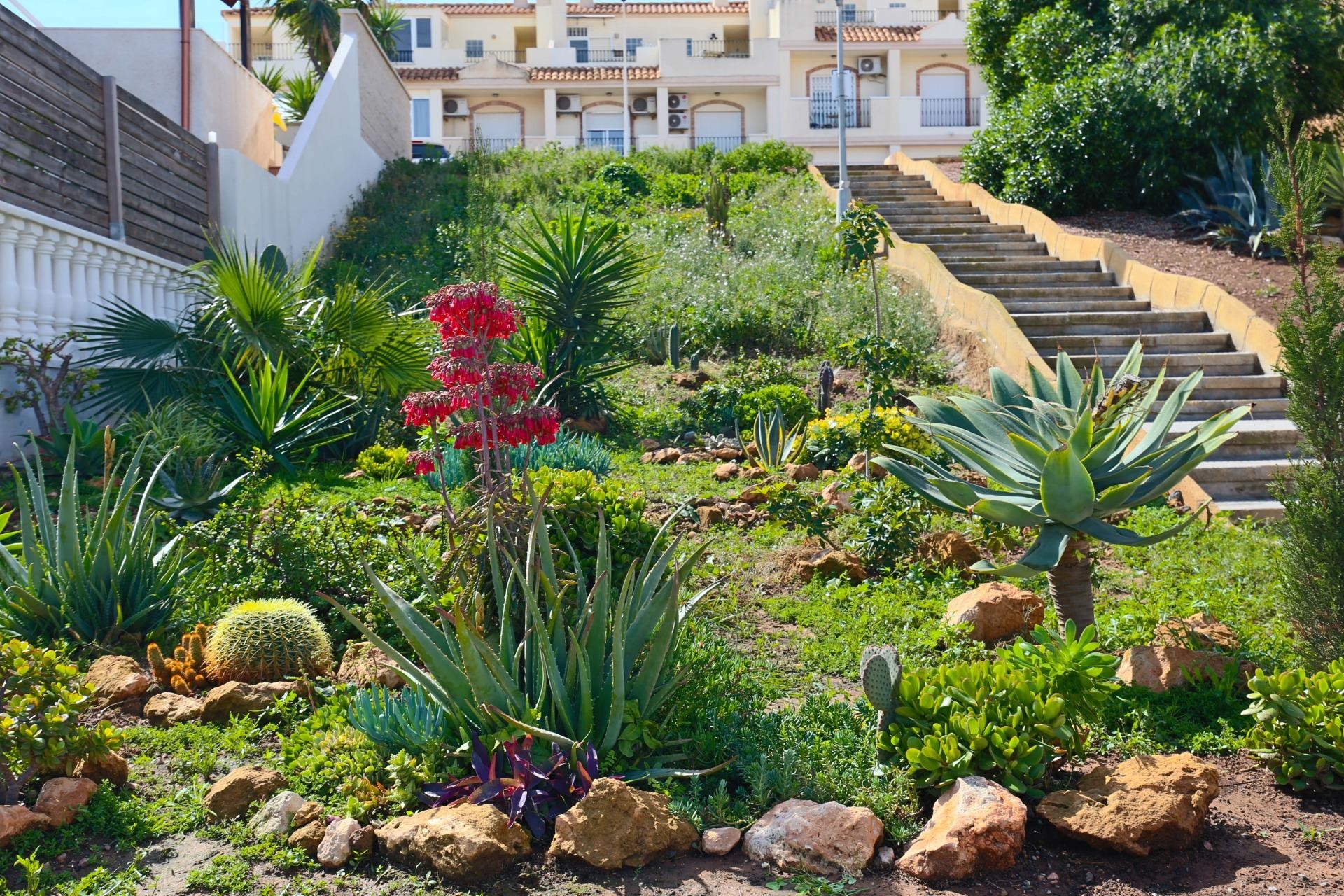 Revente - Maison de ville - Gran alacant - Sol y Playa