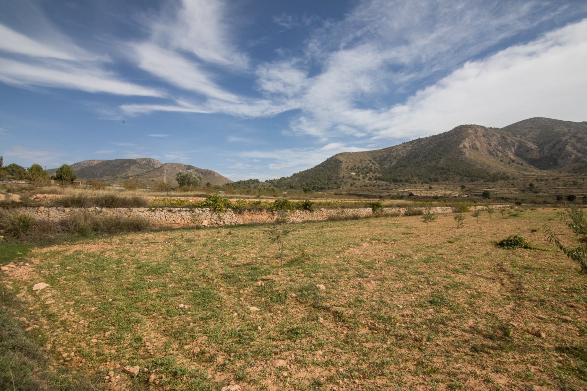 Revente - Parcelle / Terrain - Algueña - ALGUEÑA