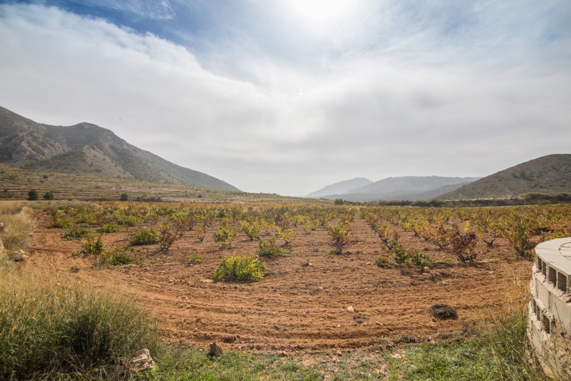 Revente - Parcelle / Terrain - Algueña - ALGUEÑA