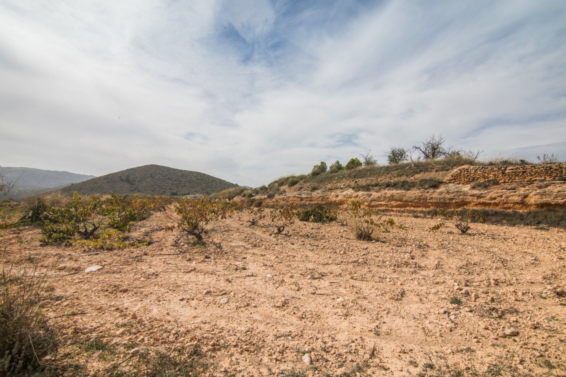 Revente - Parcelle / Terrain - Algueña - ALGUEÑA