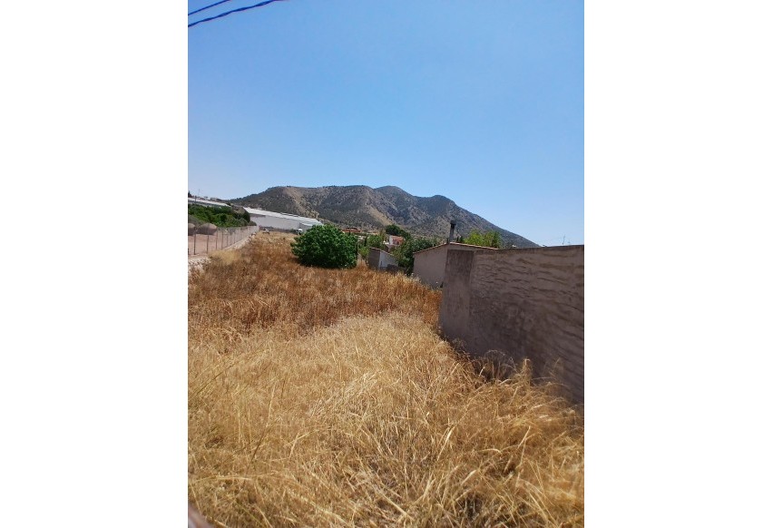 Revente - Parcelle / Terrain - Algueña