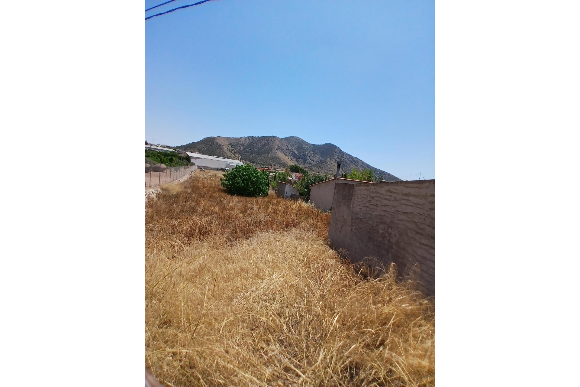 Revente - Parcelle / Terrain - Algueña