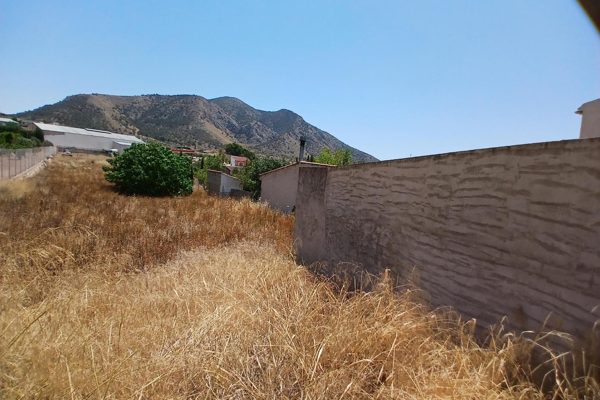 Revente - Parcelle / Terrain - Algueña