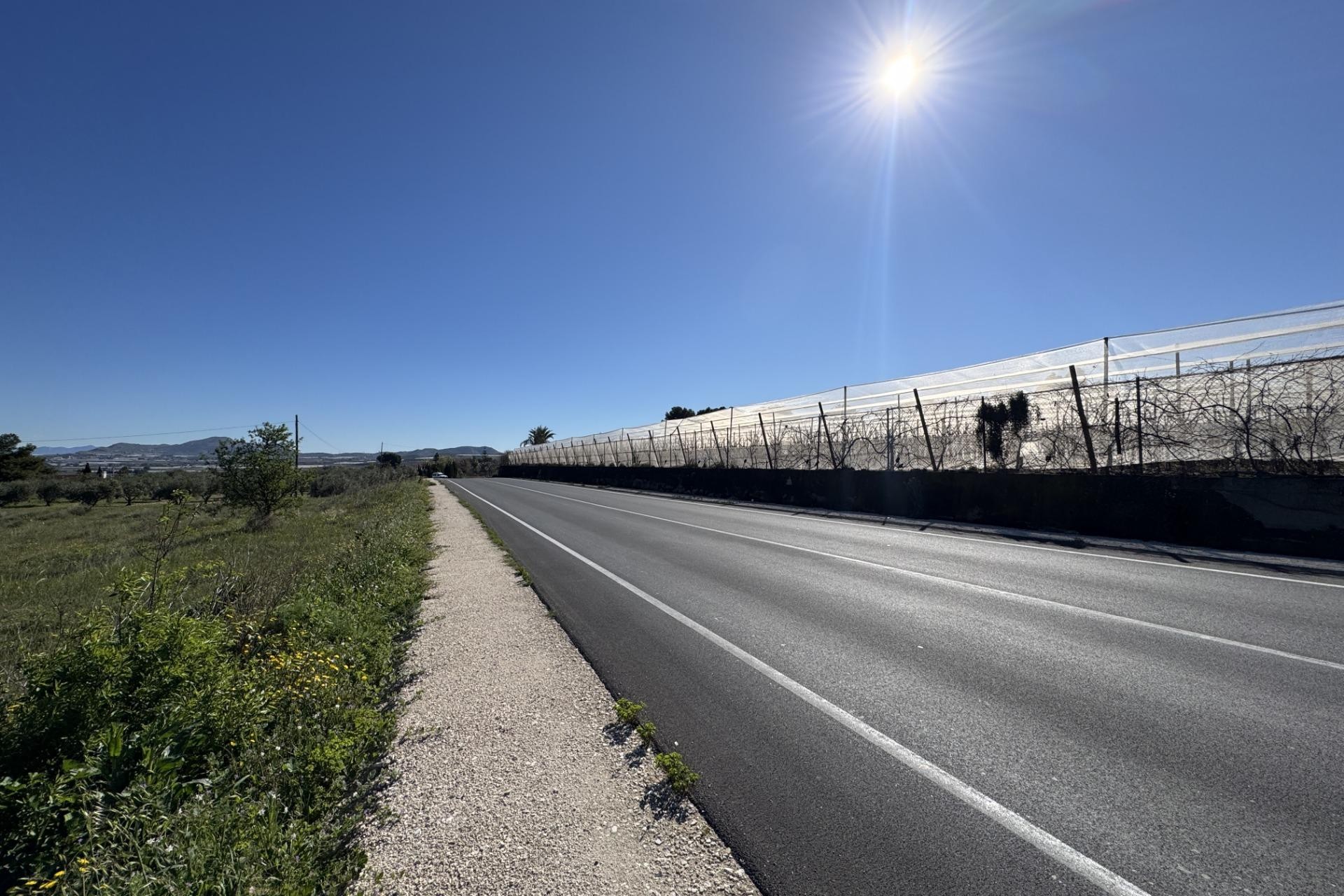 Revente - Parcelle / Terrain - Aspe - Huerta mayor