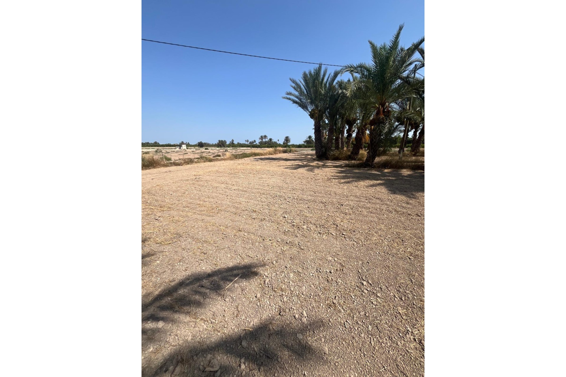 Revente - Parcelle / Terrain - Elche Pedanías - Algoda