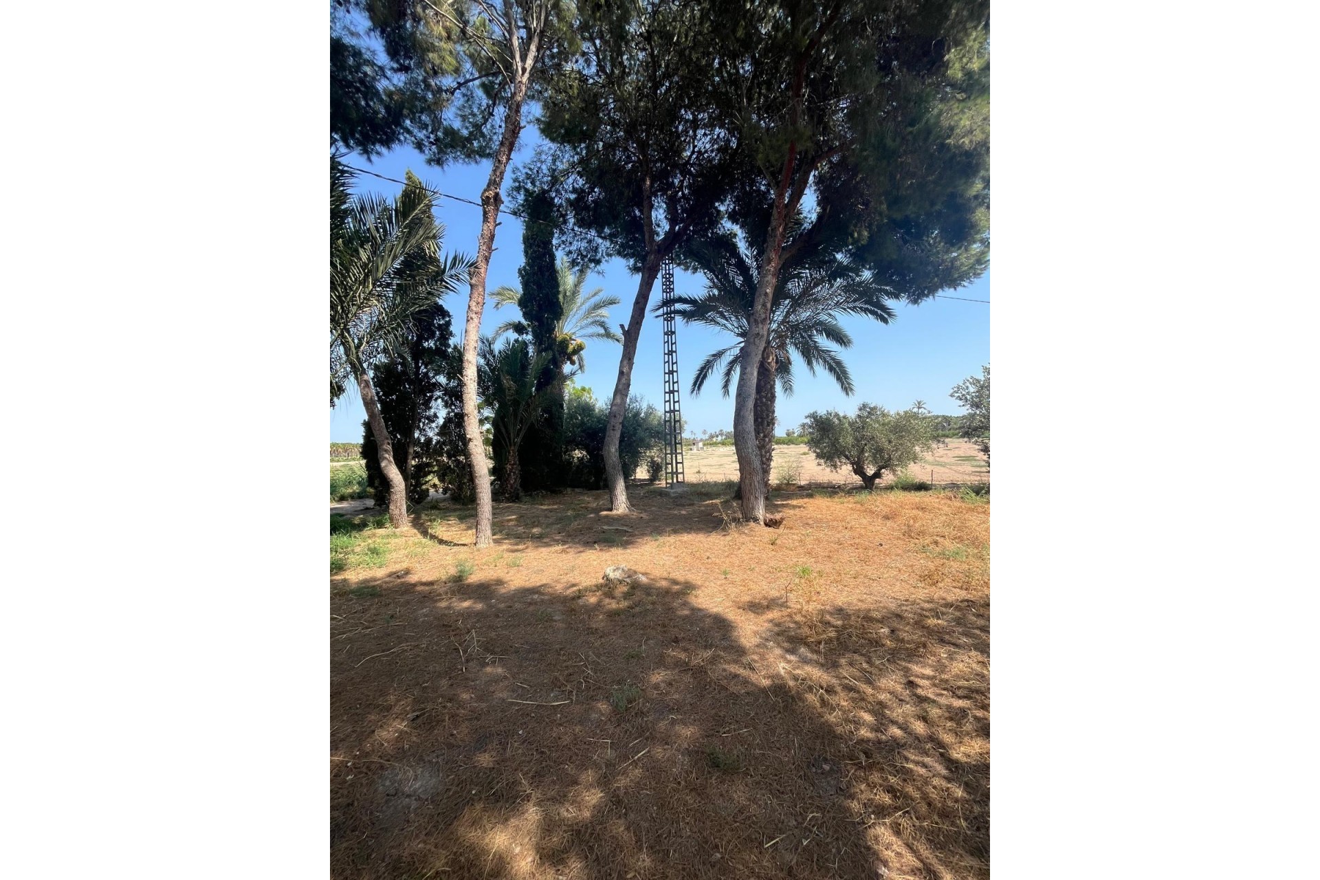 Revente - Parcelle / Terrain - Elche Pedanías - Algoda