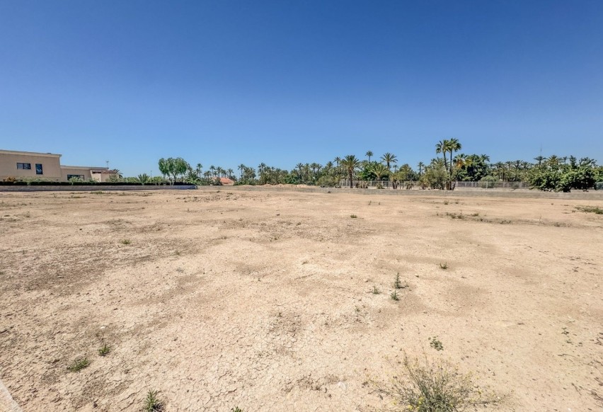 Revente - Parcelle / Terrain - Elche Pedanías - Alzabares