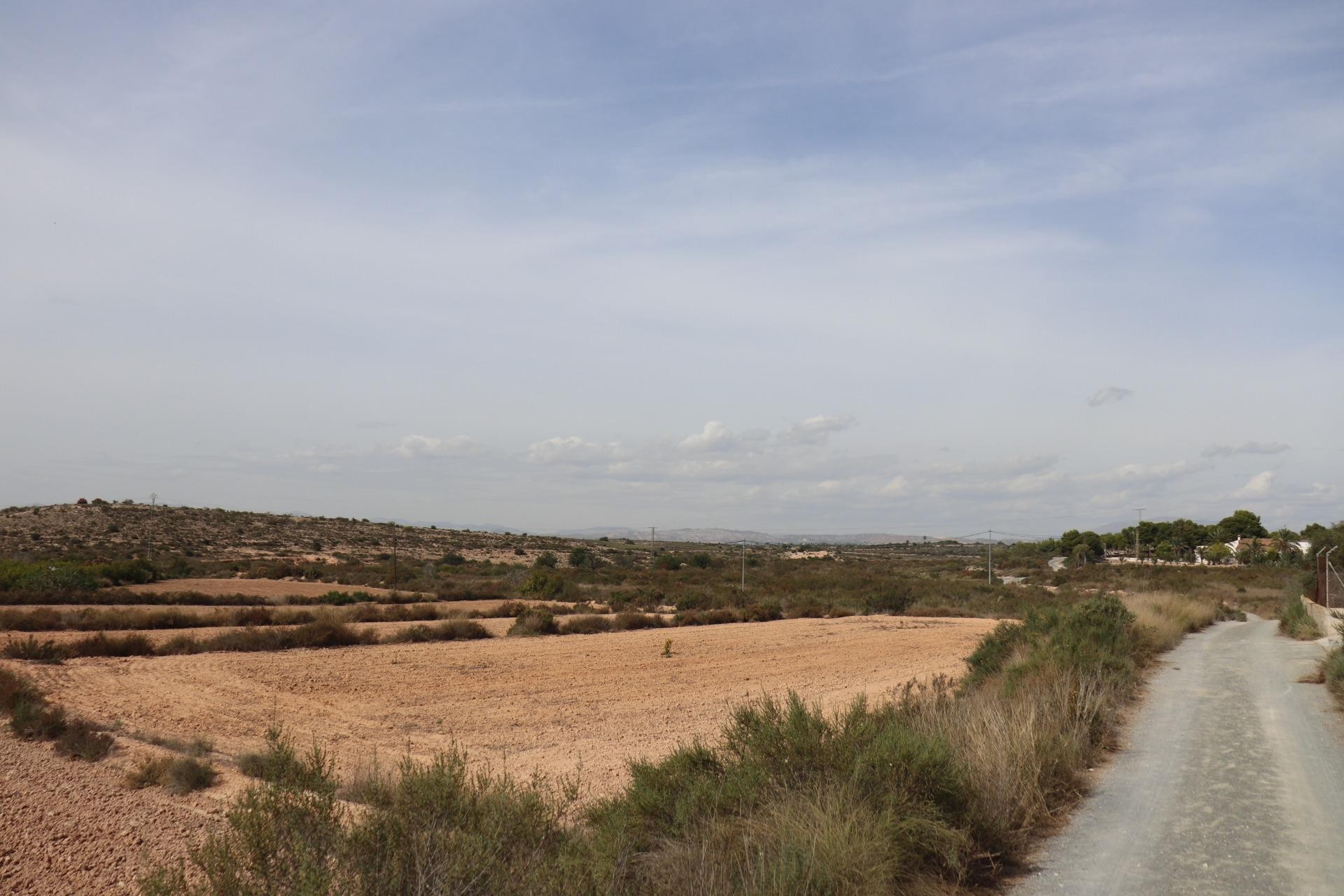 Revente - Parcelle / Terrain - Elche Pedanías - Balsares