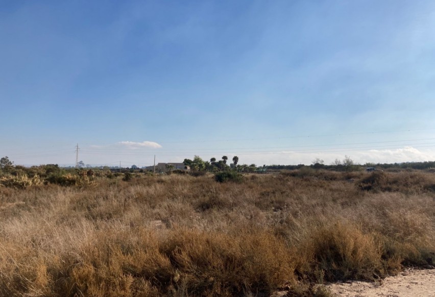 Revente - Parcelle / Terrain - Elche Pedanías - La Marina