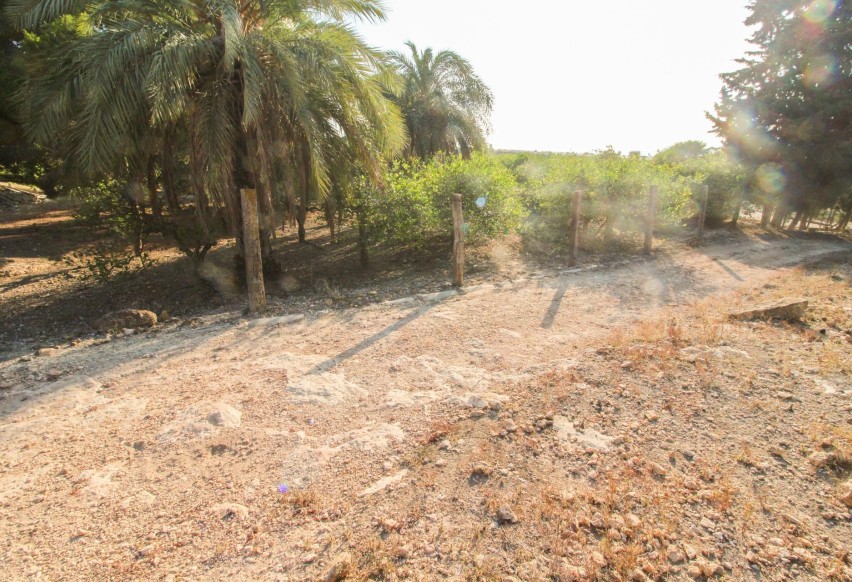 Revente - Parcelle / Terrain - Elche Pedanías - La Marina