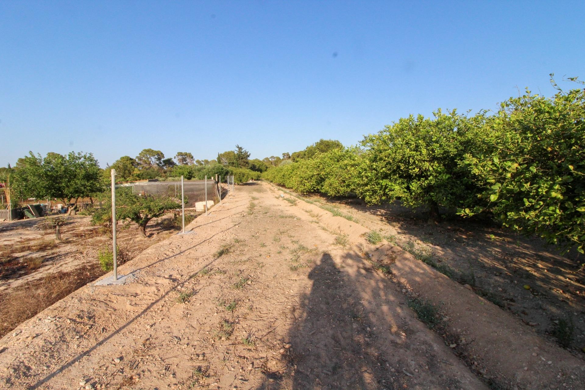 Revente - Parcelle / Terrain - Elche Pedanías - La Marina