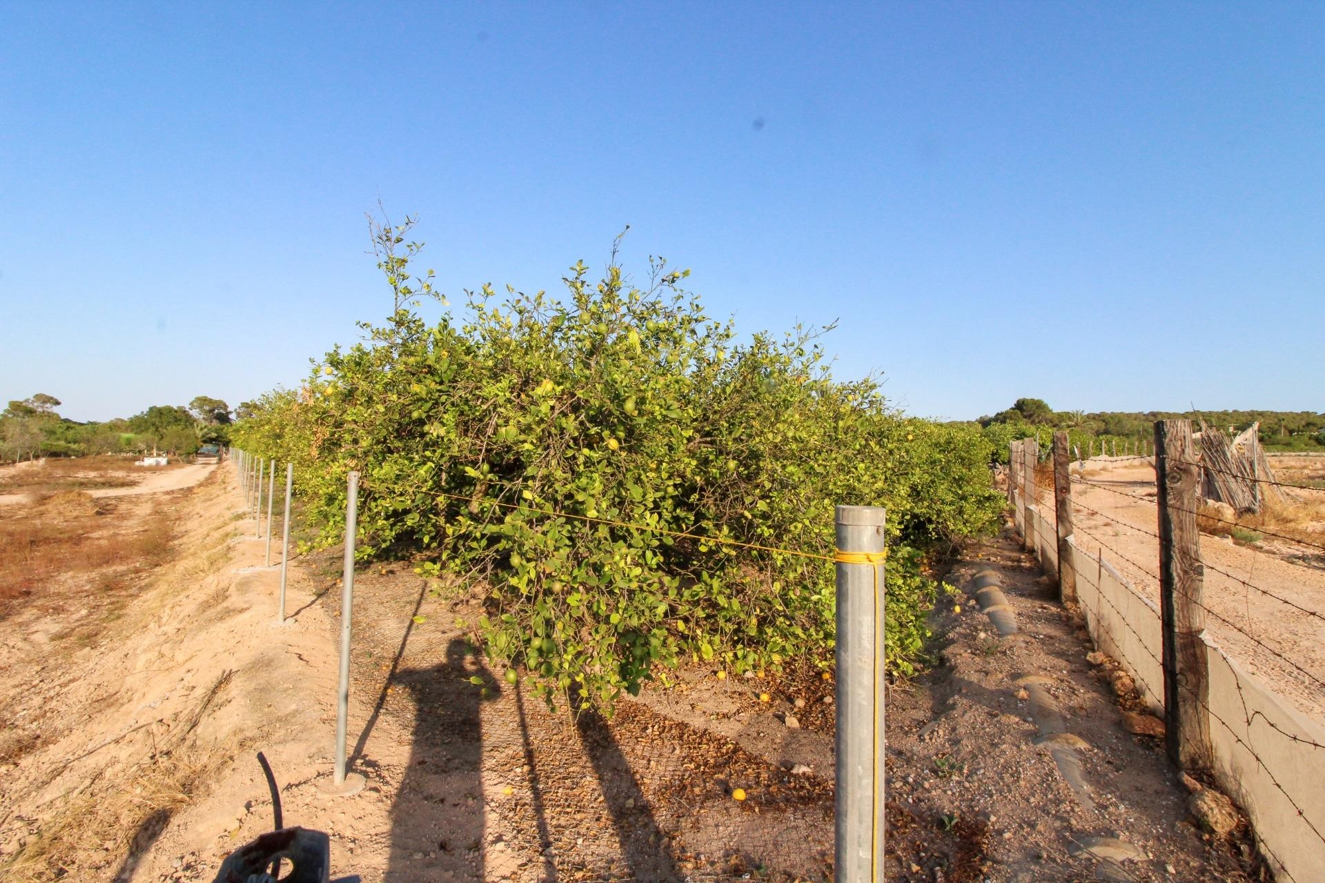 Revente - Parcelle / Terrain - Elche Pedanías - La Marina