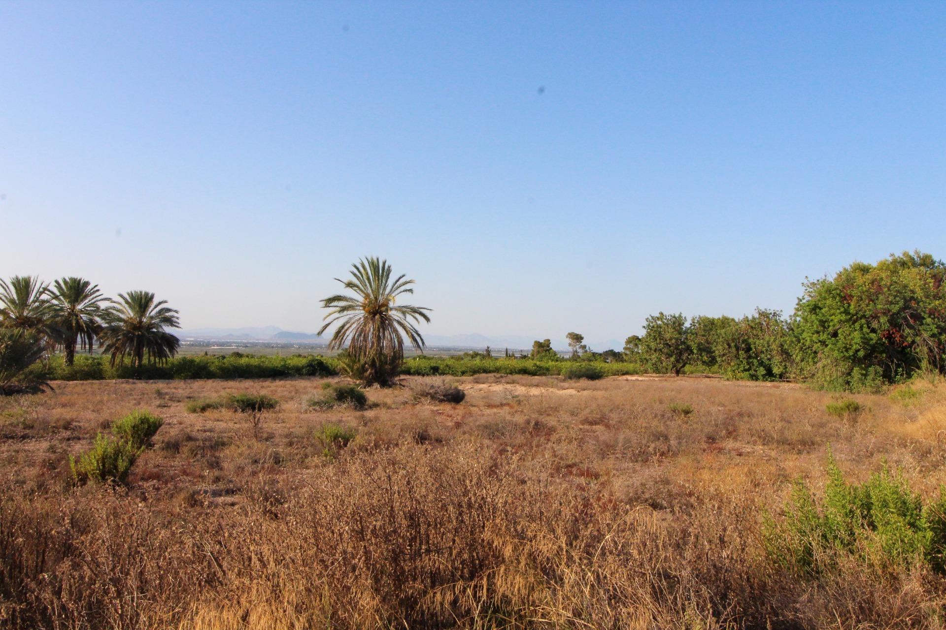 Revente - Parcelle / Terrain - Elche Pedanías - La Marina