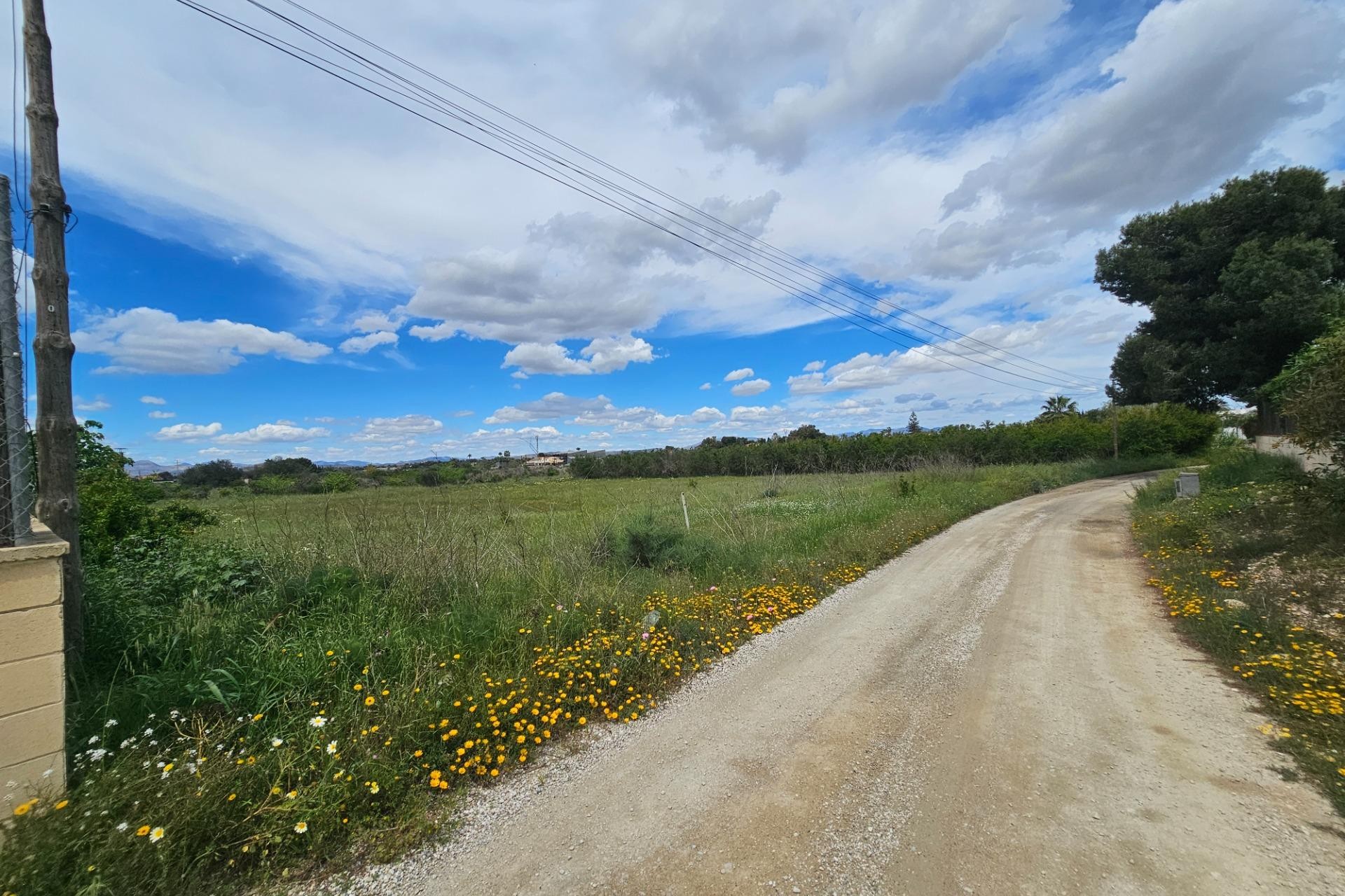 Revente - Parcelle / Terrain - Elche Pedanías - Valverde