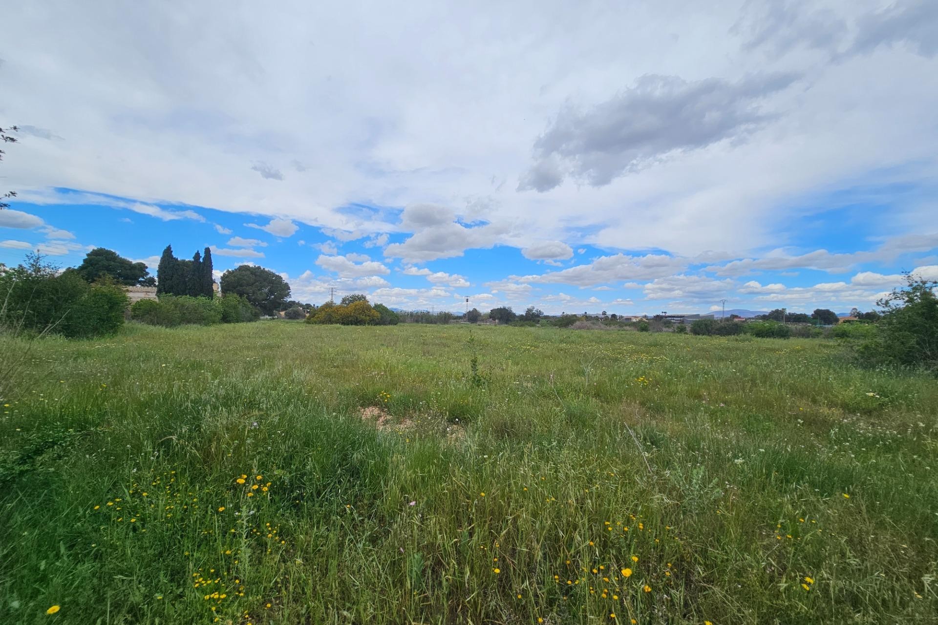 Revente - Parcelle / Terrain - Elche Pedanías - Valverde