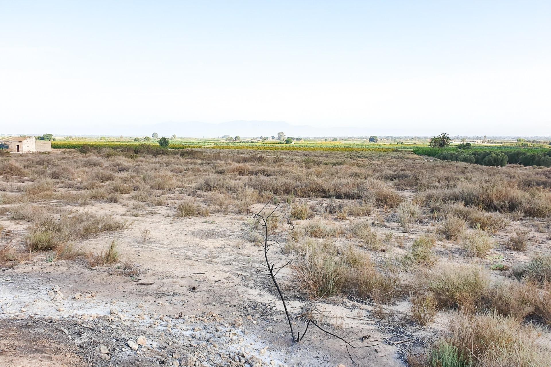 Revente - Parcelle / Terrain - La marina - Molar