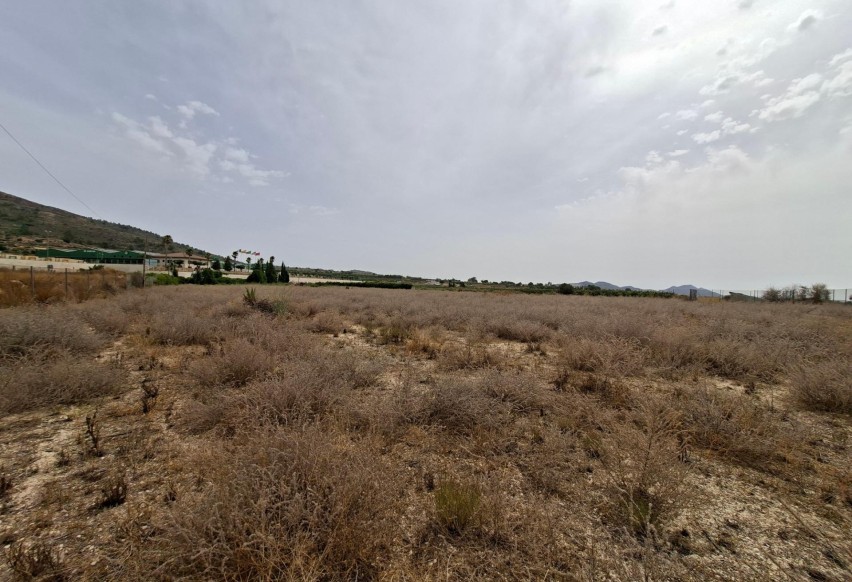 Revente - Parcelle / Terrain - La Romana - Crta. LA ROMANA