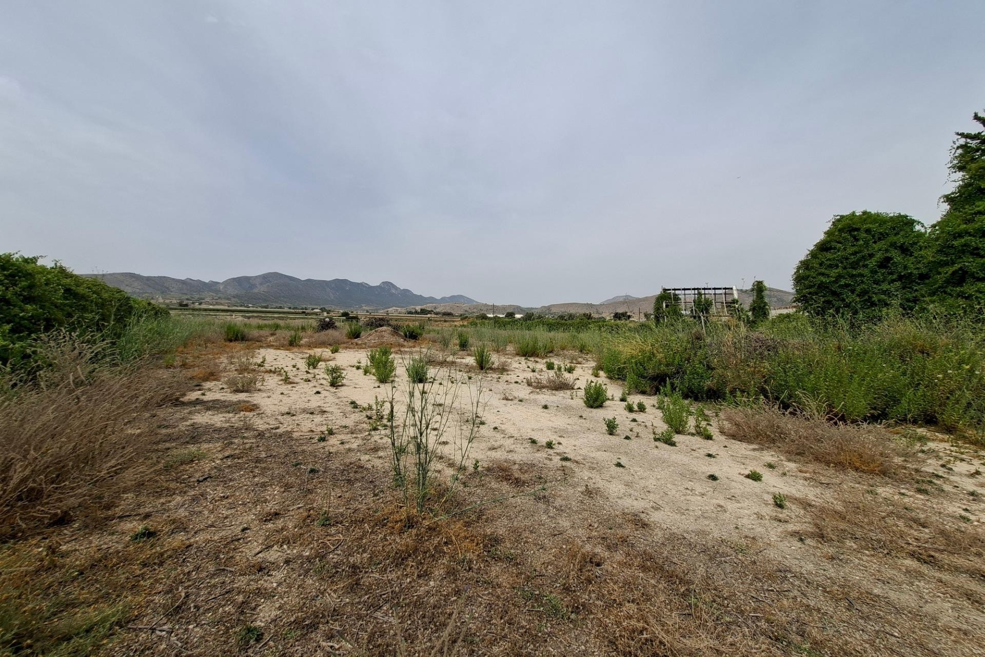 Revente - Parcelle / Terrain - La Romana - Crta. LA ROMANA