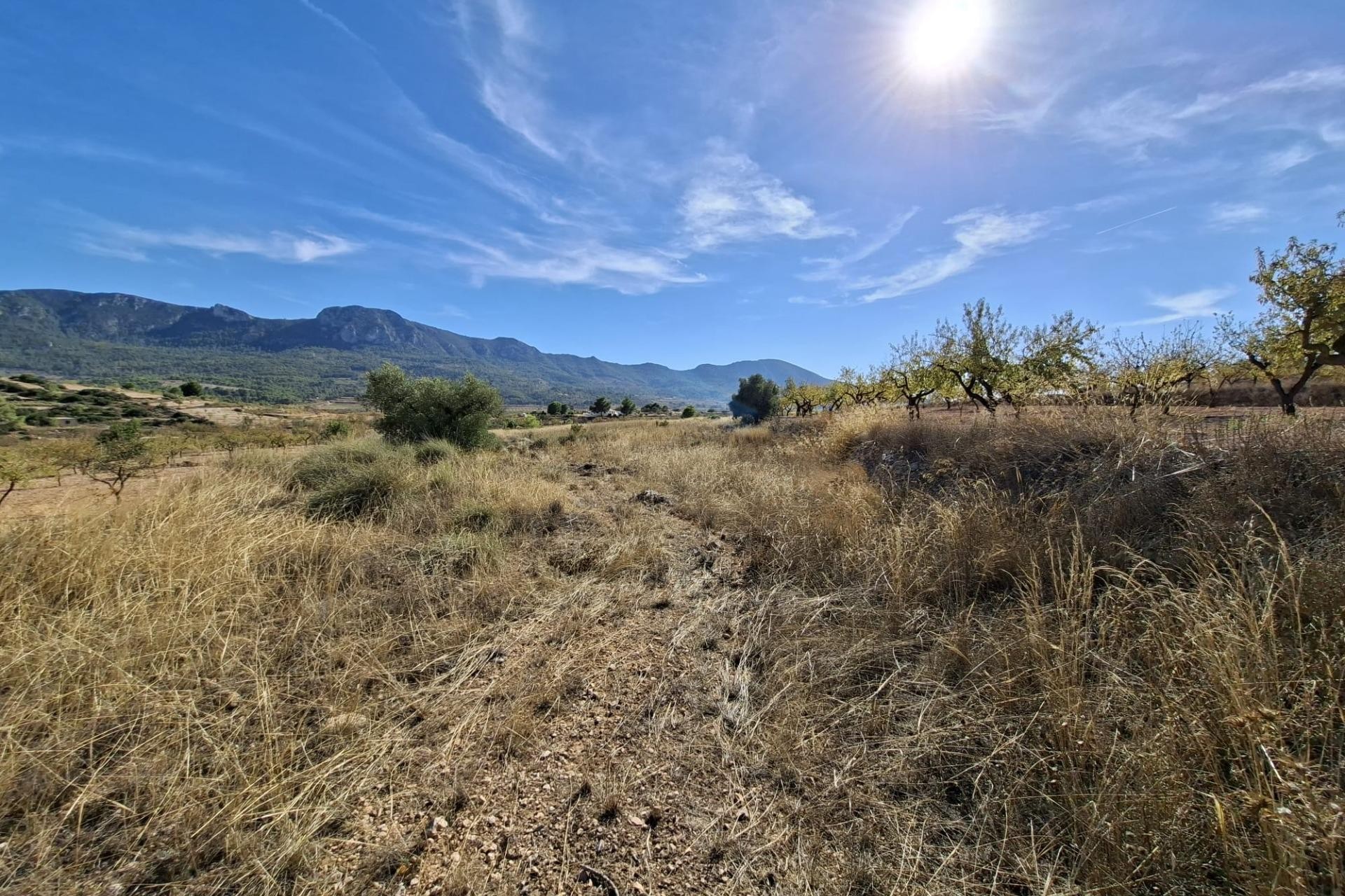 Revente - Parcelle / Terrain - La Romana
