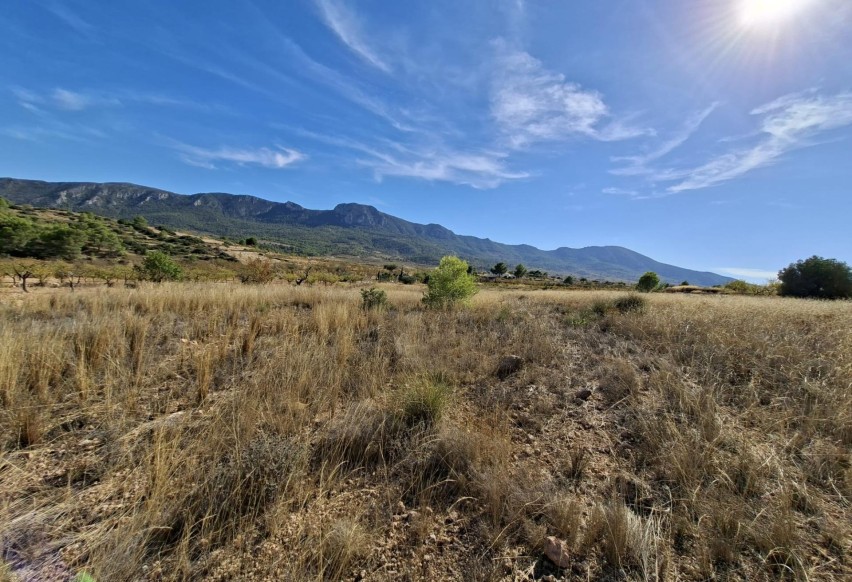 Revente - Parcelle / Terrain - La Romana