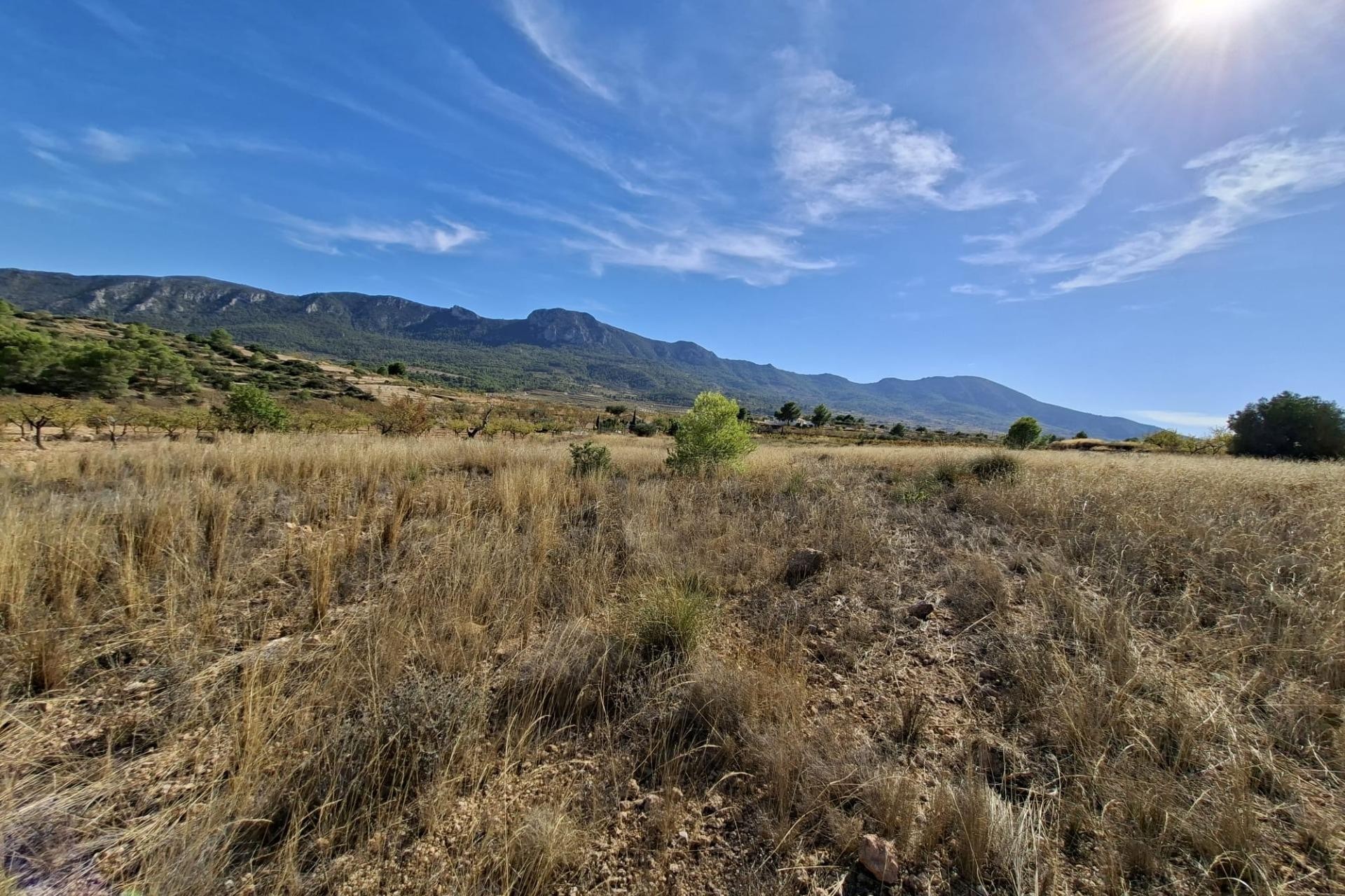 Revente - Parcelle / Terrain - La Romana