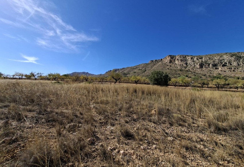 Revente - Parcelle / Terrain - La Romana