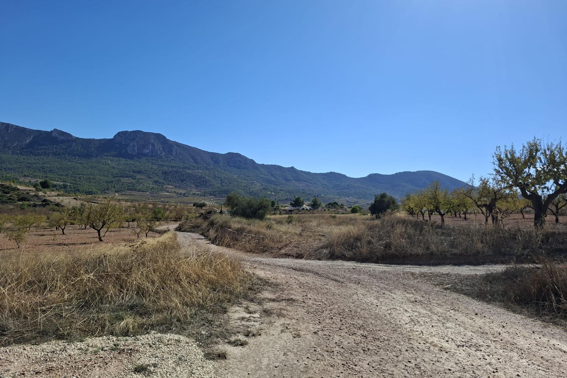 Revente - Parcelle / Terrain - La Romana