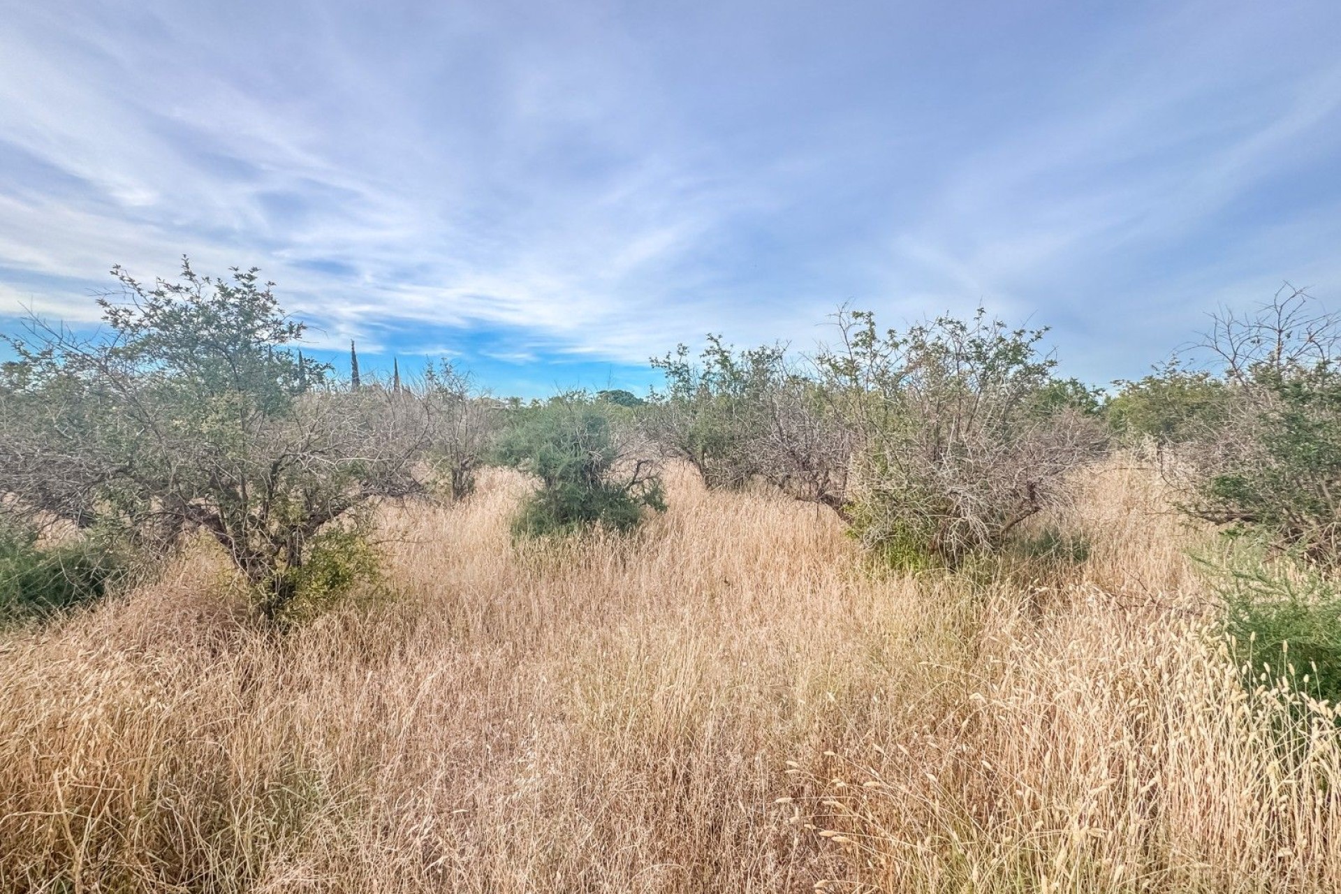Revente - Parcelle / Terrain - Matola - Algoda-Matola-Llano de San José