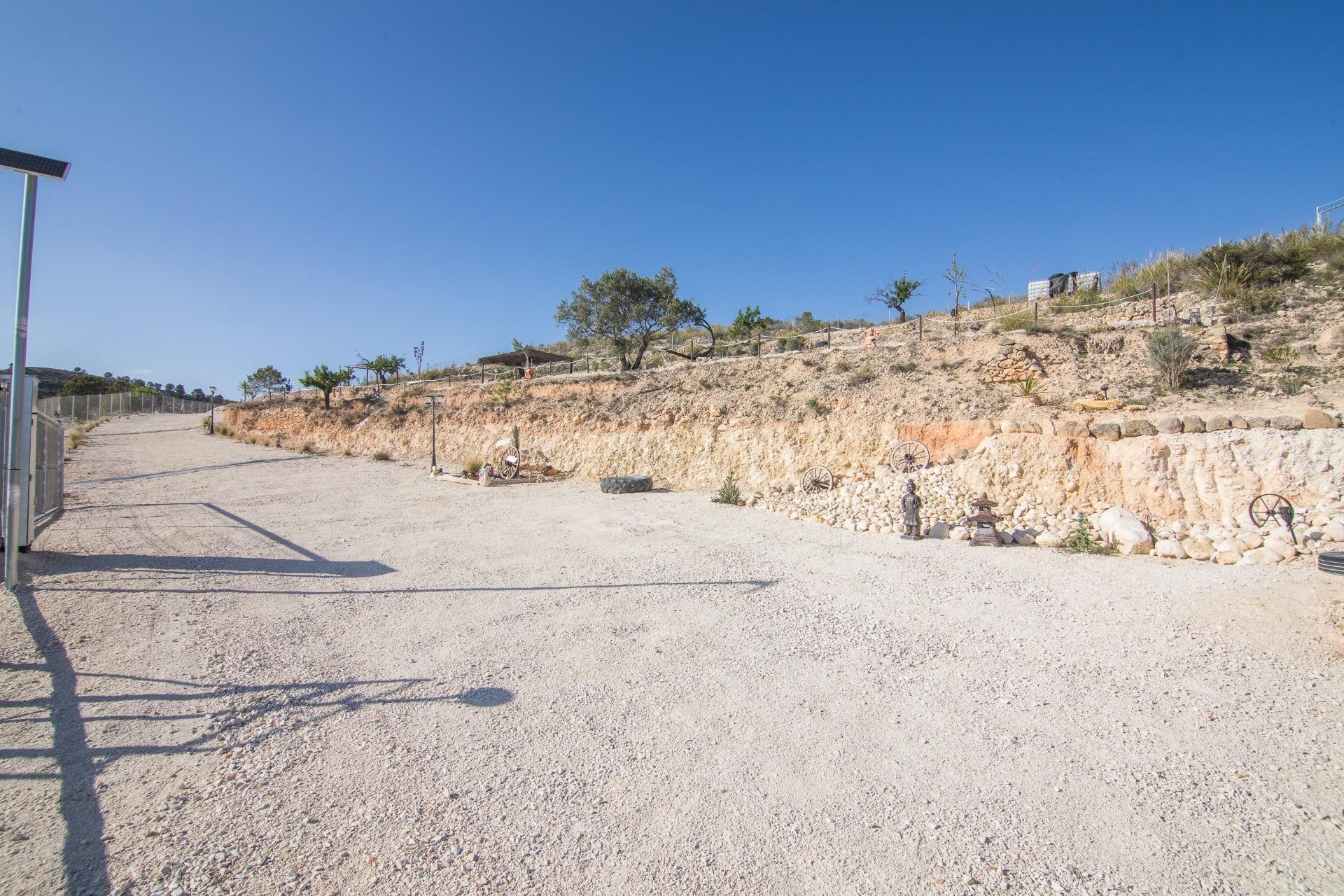 Revente - Parcelle / Terrain - Pinoso - CULEBRON