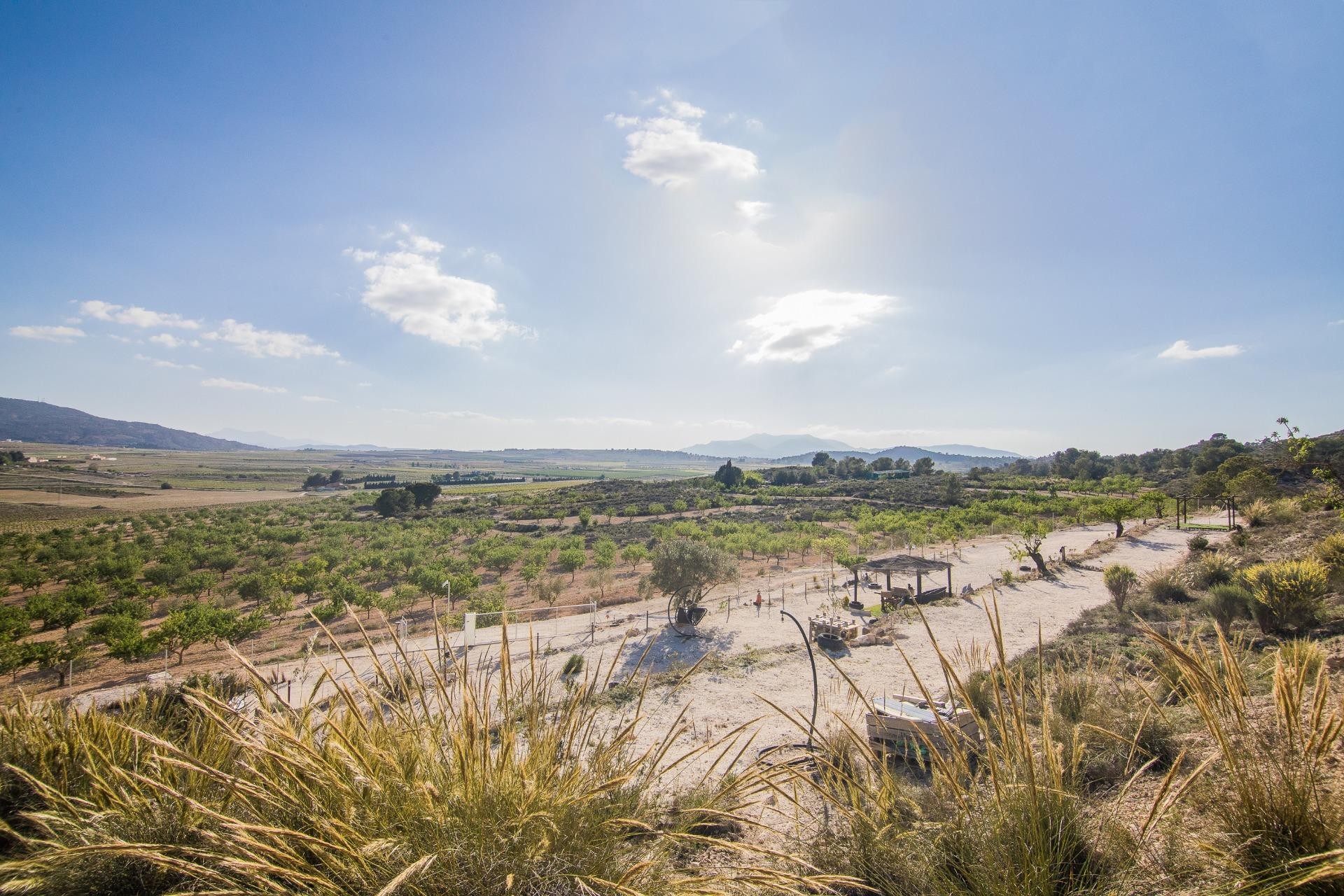 Revente - Parcelle / Terrain - Pinoso - CULEBRON