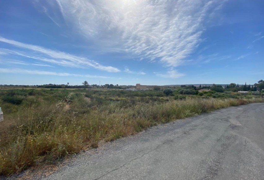 Revente - Terreno rural - Elche Pedanías - LOS BALSARES